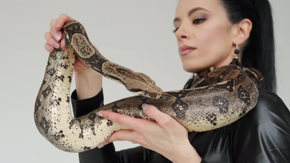 Close Up Footage of the Snake's Head on a Woman's Hands