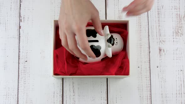 A Woman Takes a New Year's Gift Out of the Box. Hands Put a Coin in a Piggy Bank, in the Form of a