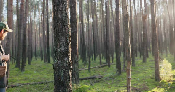 Mushroom Picker is Walking in Woods at Sunrise Rays Breaking Through Tree Branches Illuminate Face