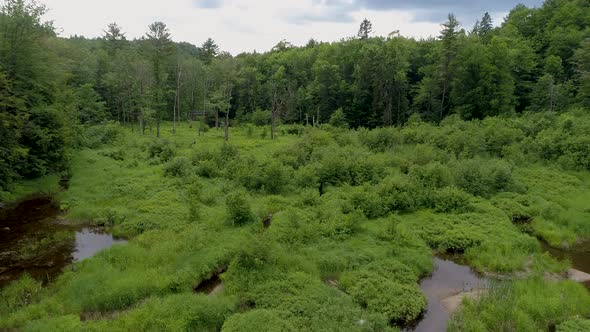 Aerial fly by of a pond.