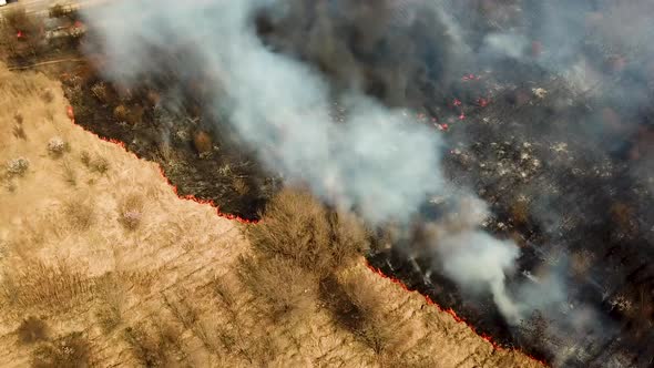 Forest and Field Fire