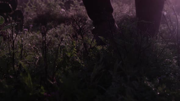 a hunter walking in a grassland/forest