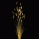 Golden Cereal In The Wind 2 - VideoHive Item for Sale