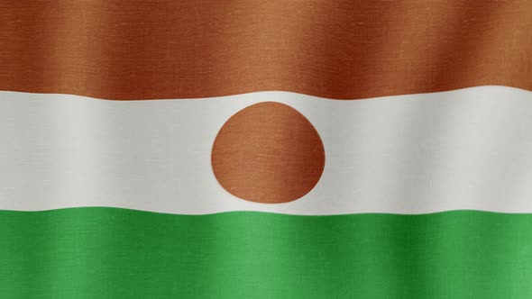 The National Flag of Niger alt