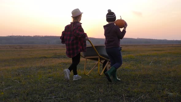 Brother and Sister Picking Pumpkins on Halloween Pumpkin Patch, Team Kids Pick Ripe Vegetables