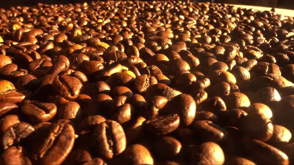 Coffee Grains