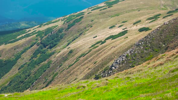 Picturesque Summer Landscape in Carpathian Mountains