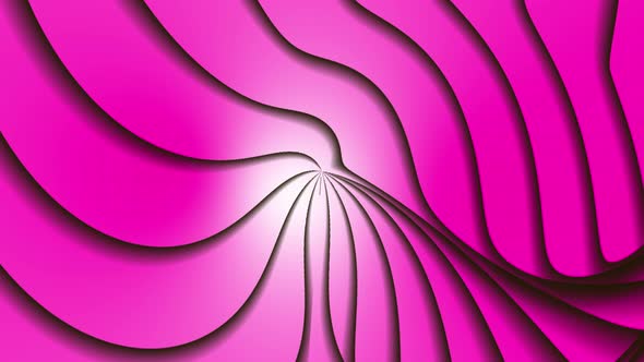 Creative Gradient Megenta color twirl Line Background.4k Seamless Loop Animation