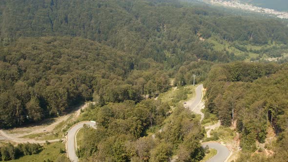 Aerial view of a forest in Transylvania