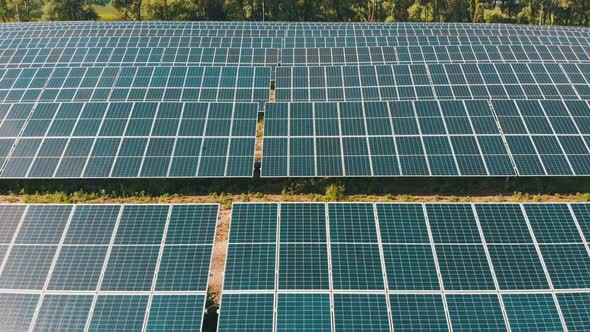 Aerial View of Solar Power Station. Panels Stand in a Row on Green Field. Summer