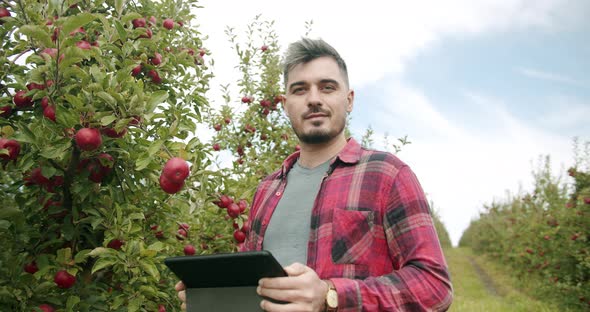 the Farmer Using Tablet Gadget in Apple Garden Smile and Looking at the Camera