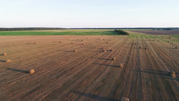 Flying Over Agricultural Fields.