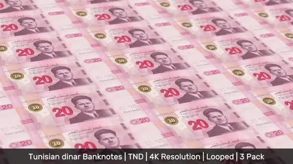 Tunisia Banknotes Money / Tunisian dinar / Currency DT / TND / 3 Pack - 4K