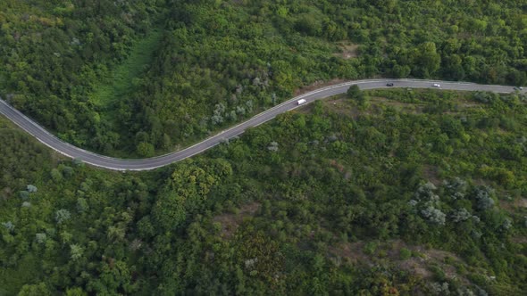 Aerial View Over Forest with a Road Going Through with Car