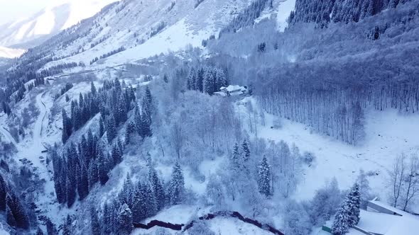 Majestic Snowy Gorge with Fir Trees in Mountains