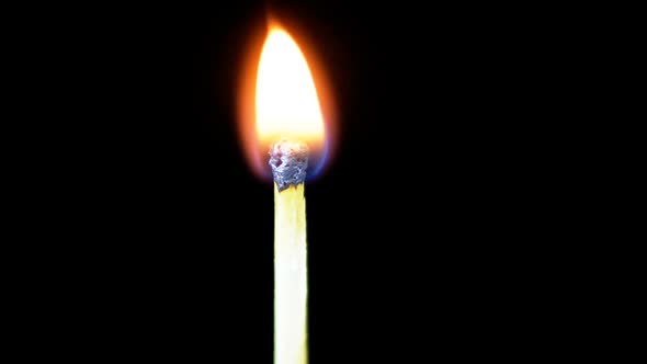 Igniting Match and Flame on a Black Background