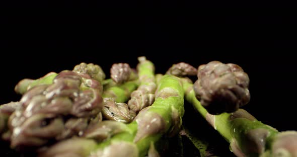 Fresh Asparagus green  super macro  close up