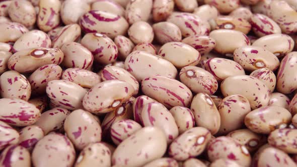 Cranberry pinto beans in a heap. Dry raw legumes. Macro
