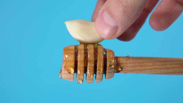 Fermented Garlic Honey Close Up on a Blue Background