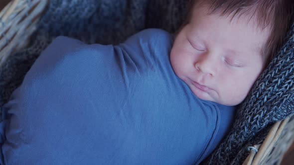 Close-up portrait of a young baby who has recently been born.