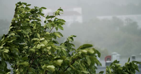 Torrential Rainstorm With Hail In Urban Residential Street