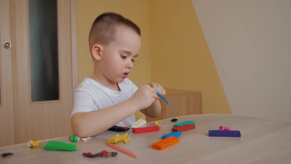 Little Boy Playing Molding Colorful Plasticine Making Toys Sculpting Playdough