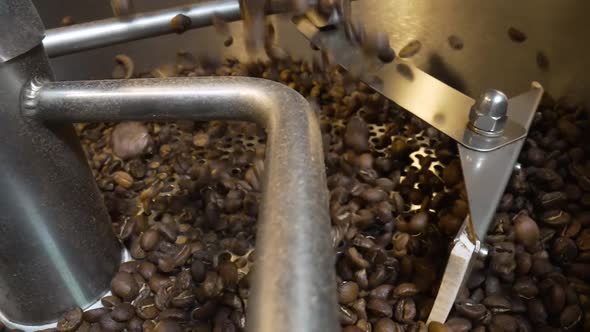 Coffee Beans are Poured Into an Industrial Coffee Roasting Machine in a Factory