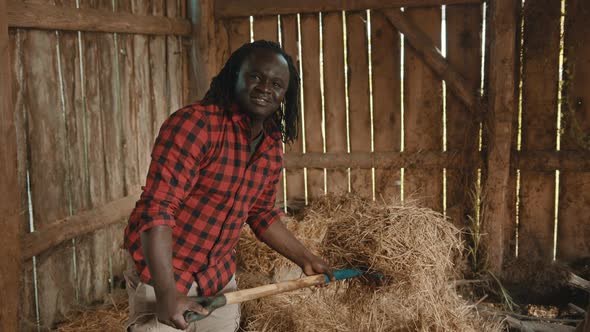 African Farmer Lifting Hay Indoors