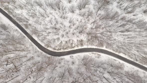 Road in the woods by winter 4K aerial video
