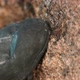 Extreme Close  Up of the Toe of a Rock Shoe Stepping on a Rock Ledge - VideoHive Item for Sale