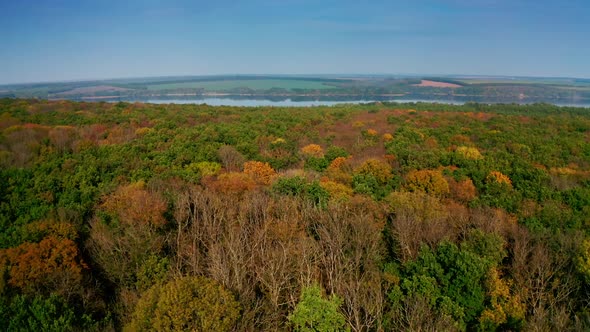 Forest at fall on river background.