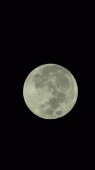 Vertical Video of the Full Moon in the Night Sky