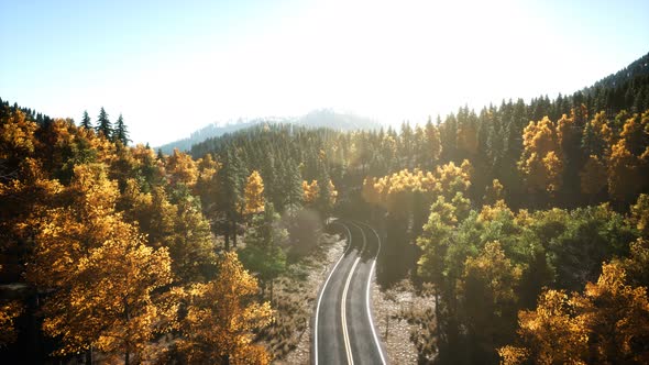 Aerial Drone View Flight Over Pine Tree Forest in Mountain at Sunset alt
