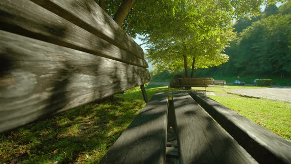 Bench in Shade of Trees Near Road Leading to Rovereto