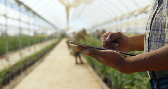 Man using digital tablet in blueberry farm 4k