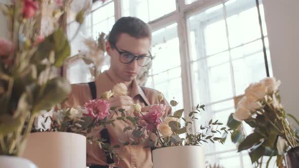 Male Florist Making Roses Composition in Hatbox in Flower Shop