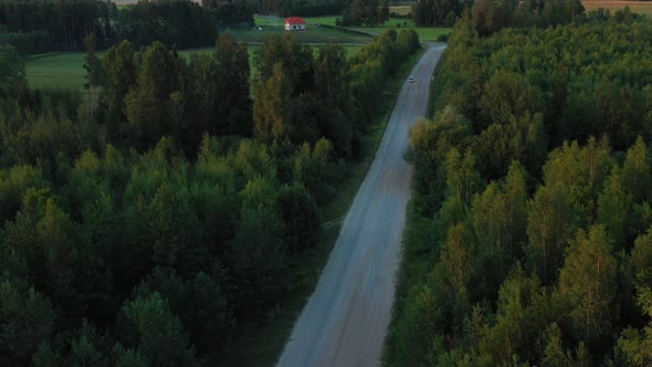 Car on Forest Road