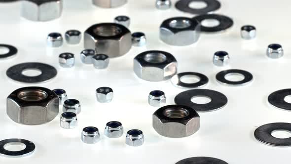 Stainless Steel Nuts