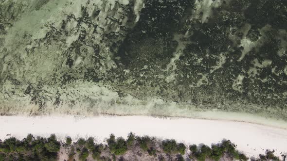 Aerial View of Low Tide in the Ocean Near the Coast of Zanzibar Tanzania