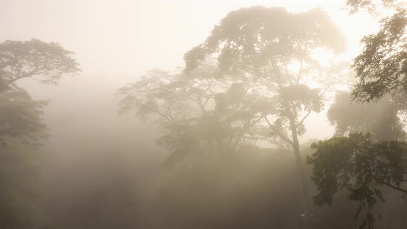 Aerial Drone View of Costa Rica Rainforest Landscape, Beautiful Misty Trees and Tropical Jungle Givi