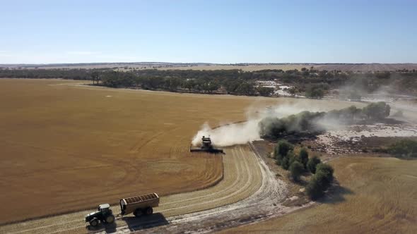 Combine gathering corn and kicking up dust in the dry farm field - aerial view