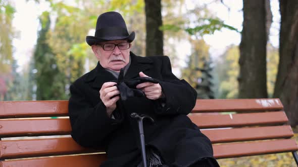 A Lonely Grandfather with Glasses Wears Black Gloves He is Sitting on a Bench in the Autumn Park