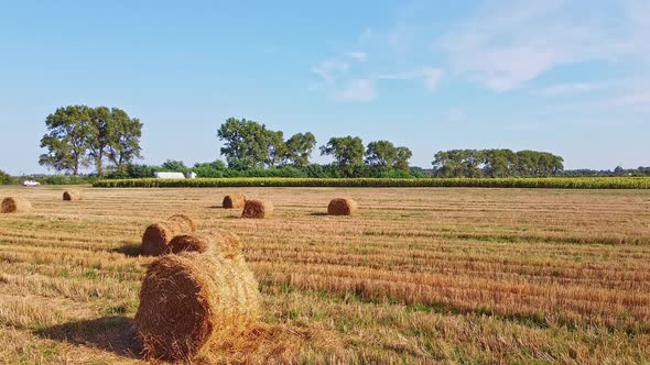 Aero Drone Flight Over Wheat Field with Rick Straw Bales