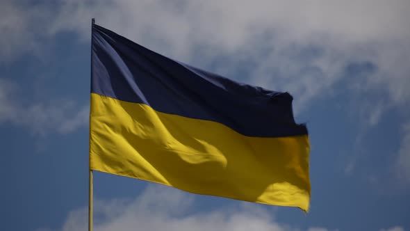 Ukraine flag waving in the wind  the sky background, close up