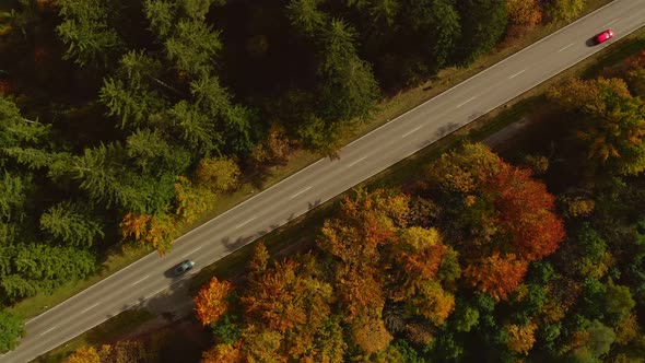 Aerial top view at a diagonal directed road with a red car framed by autumn colored trees at a beaut