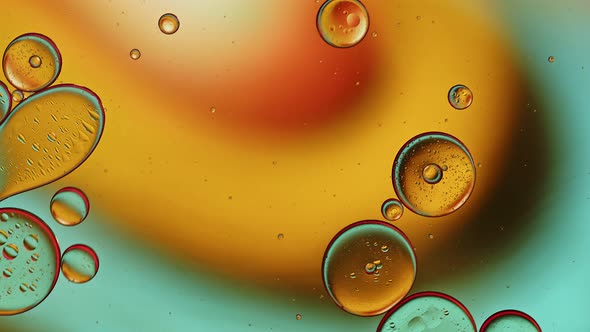 Abstract Colorful Food Oil Drops Bubbles 184