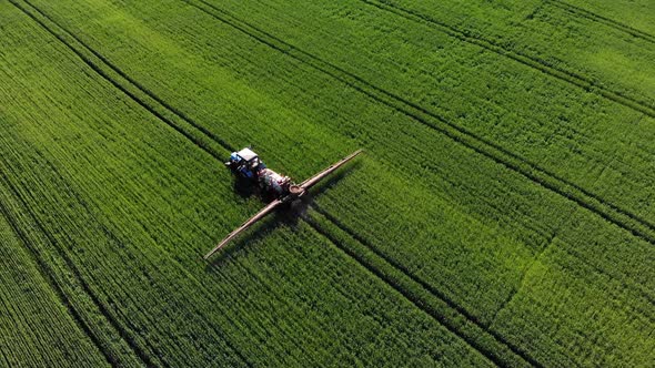 Aerial view of the tractor sprays fertilizer on a wheat field