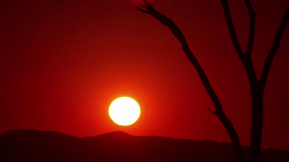 African Sunrise Time Lapse