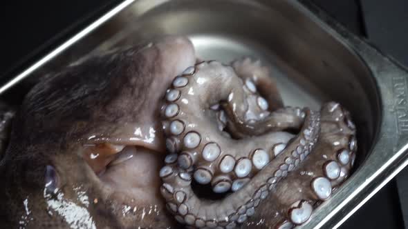 A Raw Octopus with Large Tentacles Lies in a Plate
