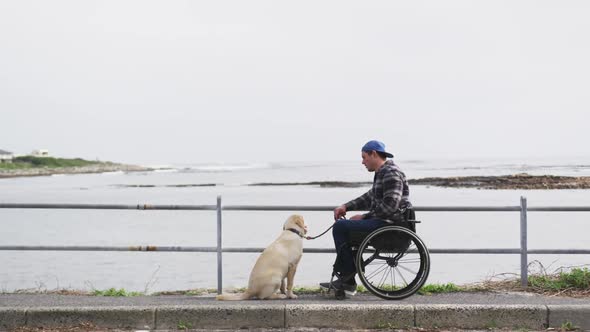 Man in a wheelchair looking at the sea with his dog